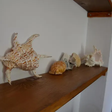 Su Muscadeddu 테르테니아