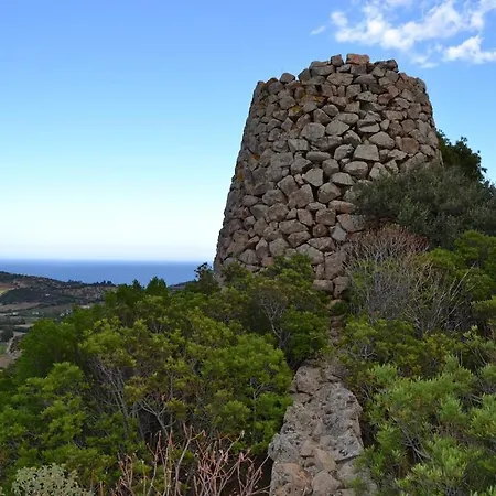 Su Muscadeddu * 테르테니아