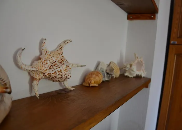 Su Muscadeddu Tertenìa