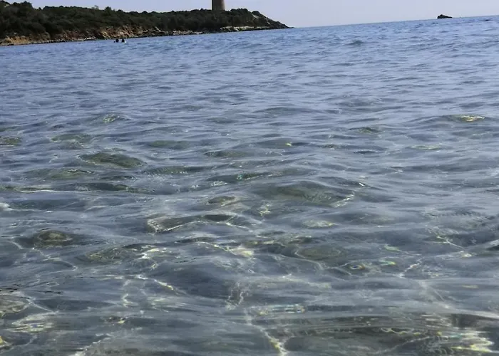 Su Muscadeddu Tertenìa